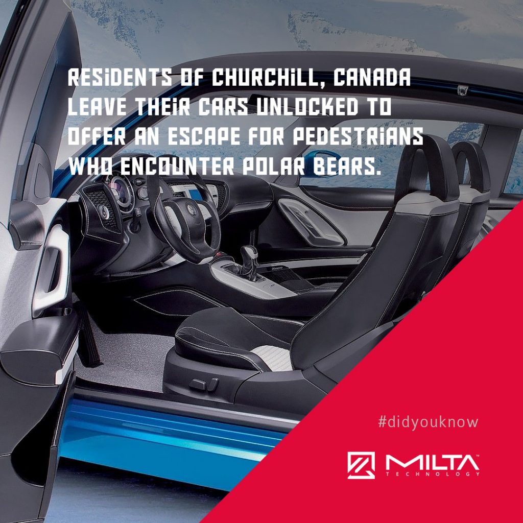 Residents of Churchill, Canada leave their cars unlocked to offer an escape for pedestrians who encounter polar bears MILTA Technology Residents of Churchill, Canada leave their cars unlocked to offer an escape for pedestrians who encounter polar bears MILTA Technology