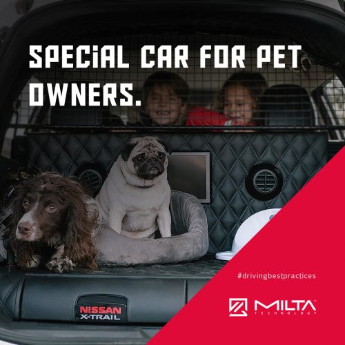 Special car for pet owners MILTA Technology