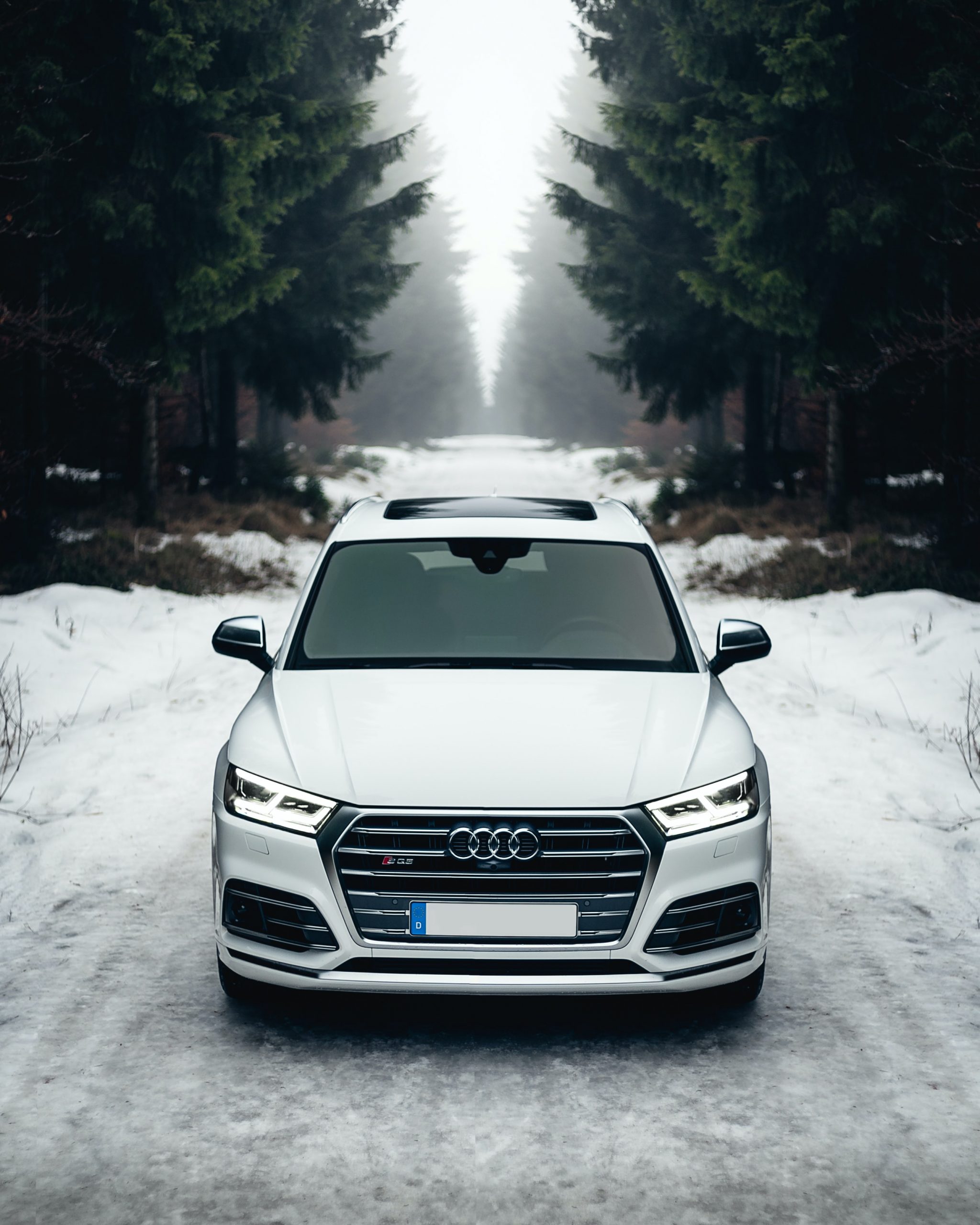 Audi Q series in winter